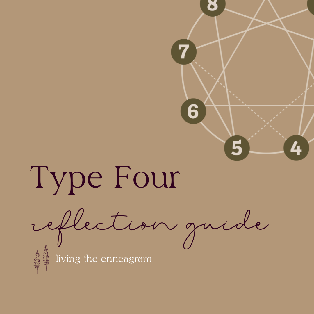 Type Four Reflection Guide