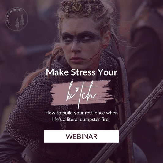 Make Stress Your B*tch Webinar